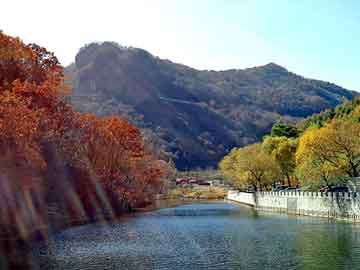 新澳天天开奖资料大全旅游团，刮痕去除剂